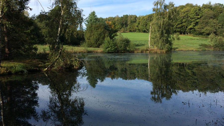 Luxury Gites Dordogne With Pool: Large Family Holiday Rental Villa ...